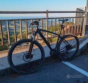 MTB Lee Cougan Rebel 29 Taglia L