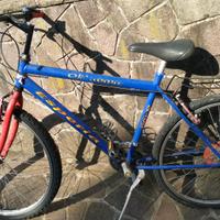 Mountain bike ragazzo