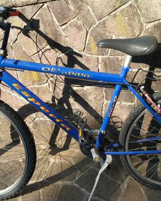 Mountain bike ragazzo