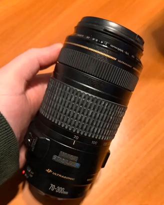 Canon EF 70-300mm F/4-5.6 IS USM