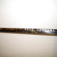 Canna da pesca Silstar tele special