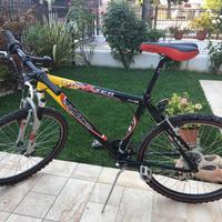 Bicicletta MTB