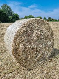 Fieno per pacciamatura