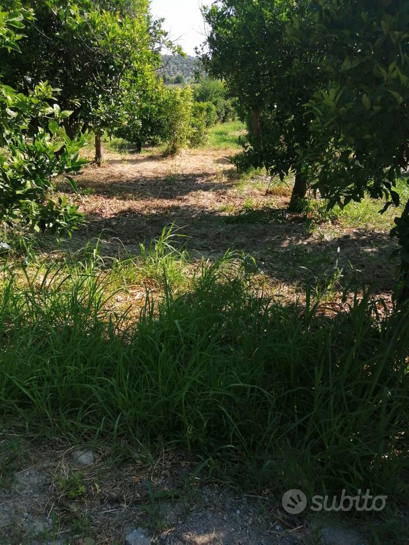 Terreno Agricolo Squillace Lido (CZ) - Vista 3