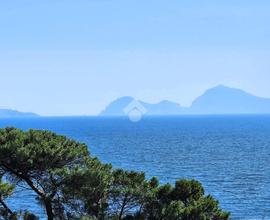 5 LOCALI A TORRE ANNUNZIATA