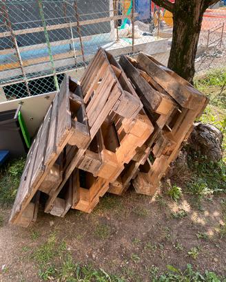 Pallet EPAL