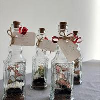 Terrarium piccoli