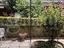 Immagine 29
