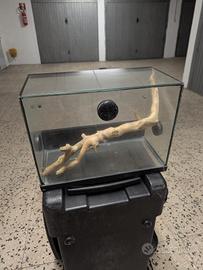 Terrario / paludario 415×205×305