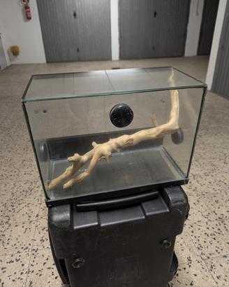 Terrario / paludario 415×205×305