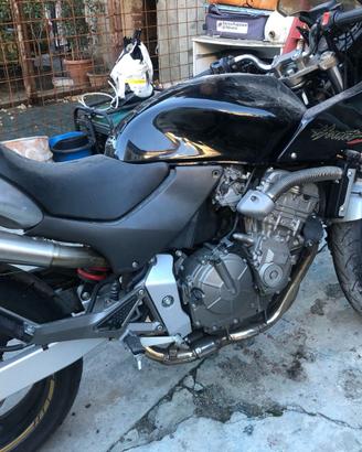 Hornet 600