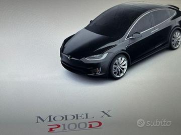 Model X Performance Loudicrous 51.000 km