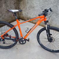 MTB  FLAT  29  WHISTLE TELAIO IN ALLUMINIO