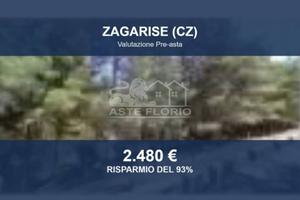 Immobile in asta di 63750 m² a Zagarise