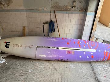 Tavola da windsurf completa