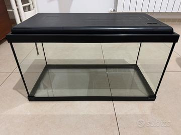 Acquario