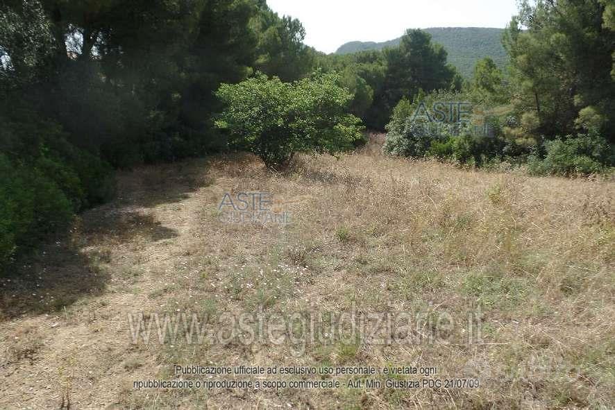Terreno Agricolo San Vincenzo [A4359762] - Vista 5