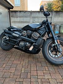 Harley Davidson Sportster s