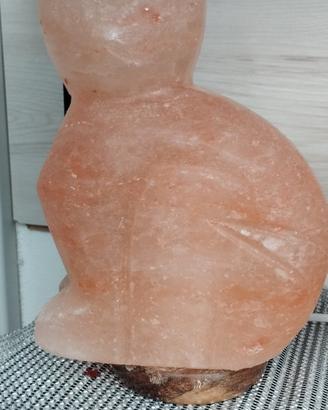 Lampada di sale  a Gatto 