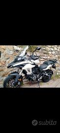 Benelli trk 502 stradale 