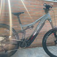 E Bike Focus Jam 2 6.9
