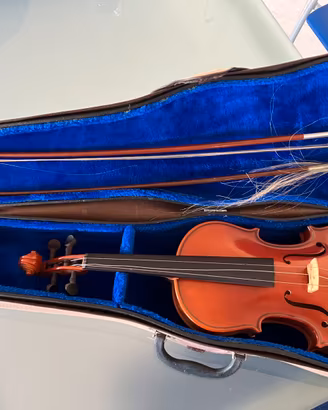 Violino