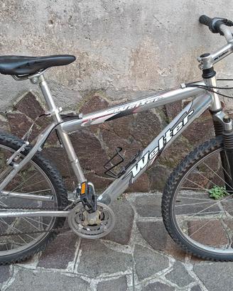Mountain bike argento