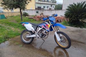 Yamaha WR 250F