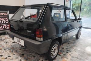 Fiat Panda 900 i.e. cat Young