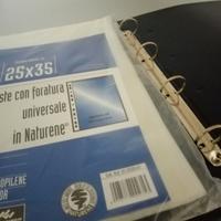 1 Raccoglitore e 1 confezione buste 25X35