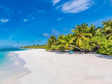 Direttore Tecnico di Agenzia Viaggi e Turismo