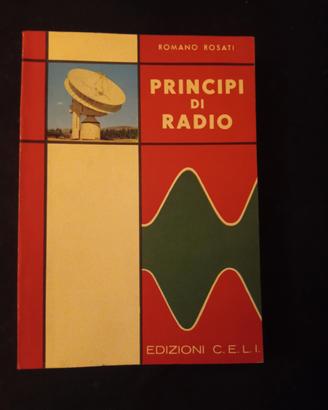 PRINCIPI  DI   RADIO  ( Romano  Rosati)