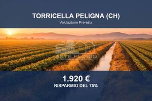Immobile in asta di 9105 m² a Torricella Peligna