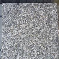 Lastra ghiaino lavato 50x50