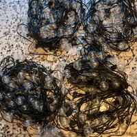 Lucine led da esterno per feste.