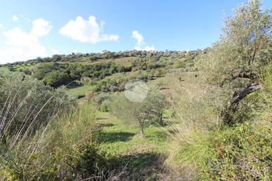 TER. AGRICOLO A AGROPOLI