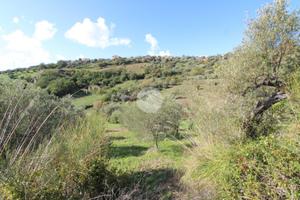 TER. AGRICOLO A AGROPOLI