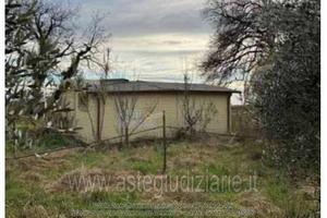 Magazzino Bibbona [A4340467]