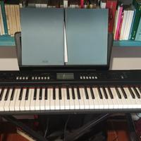 Tastiera Yamaha Piaggero np-v80