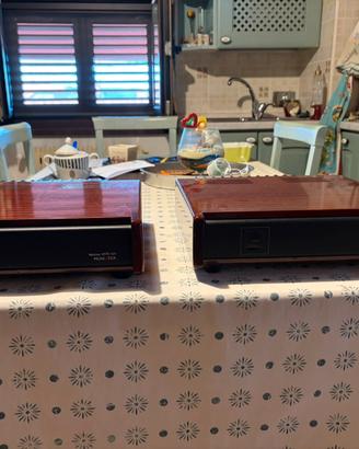 Amplificatori finali mono Meitner MTR 101