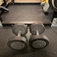 Technogym manubri 16 kg