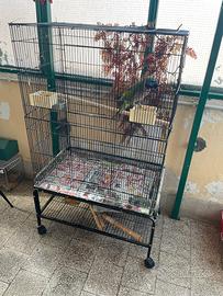Voliera grande con carrello