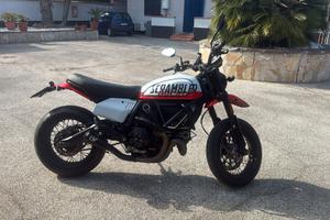 ducati scambler