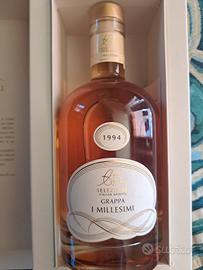 Grappa Antonella Bocchino