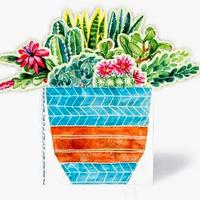 "Succulents in a Book" di Molly Hatch
