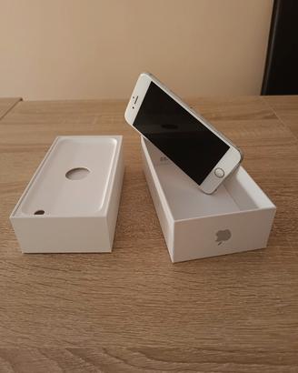 iPhone 6 