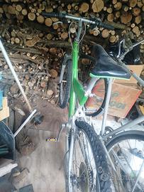 Bicicletta Pininfarina Verde 