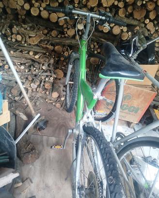 Bicicletta Pininfarina Verde 
