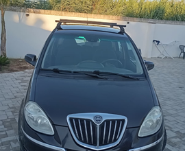 Lancia musa anno 2010
