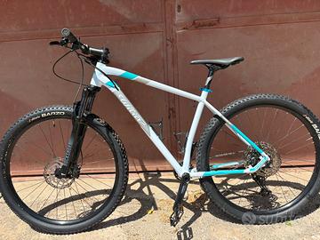 Wilier triestina